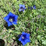 Bed & Breakfast Rainhof 3*