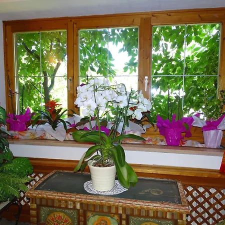 Bed & Breakfast Rainhof