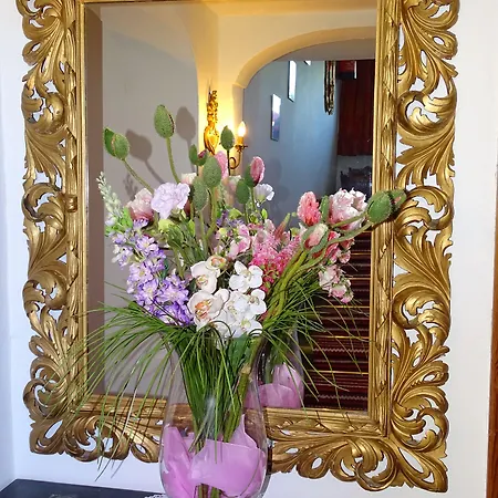 Bed & Breakfast Rainhof 3*