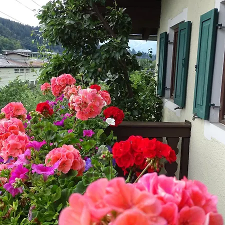 Rainhof Panzió