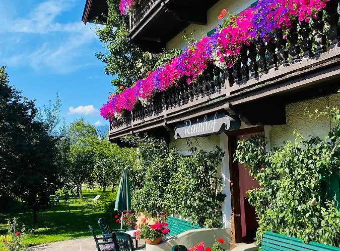 ペンジオーン ラインホフ