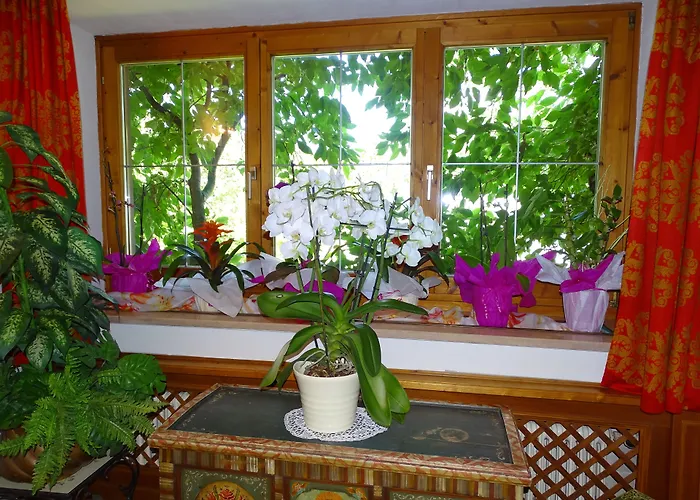 ベッド・アンド・ブレックファスト ペンジオーン ラインホフ