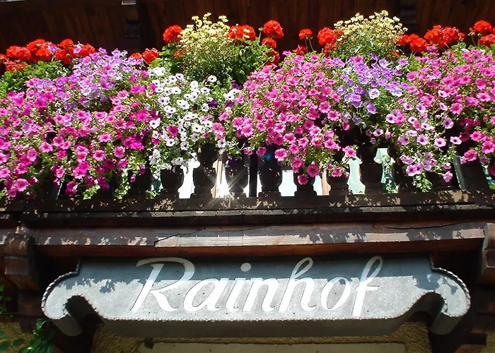 לינה וארוחת בוקר Rainhof 4*