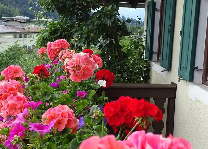 Rainhof לינה וארוחת בוקר